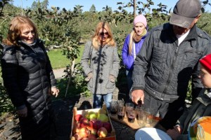 Парк Олександрія